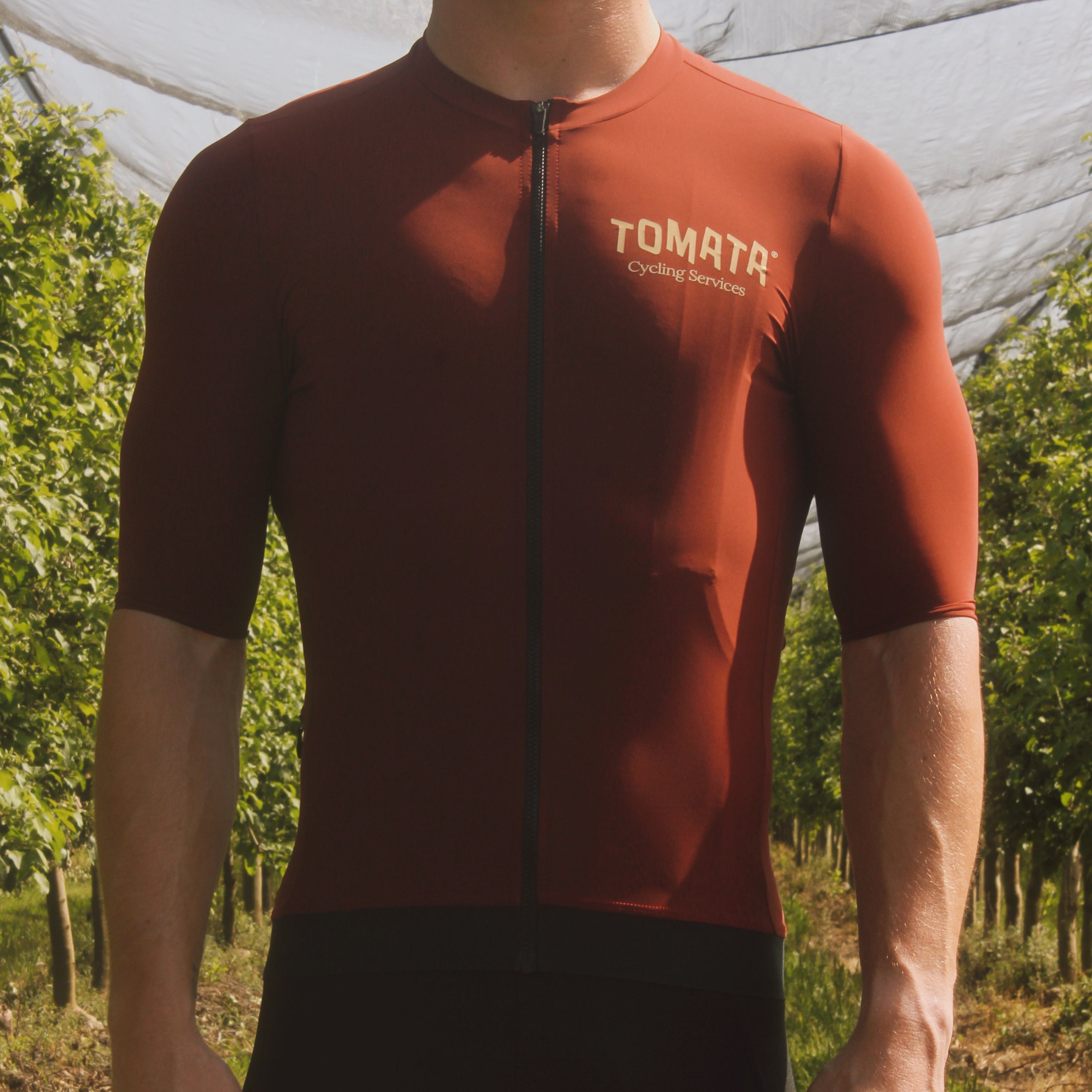 Tomata Jersey