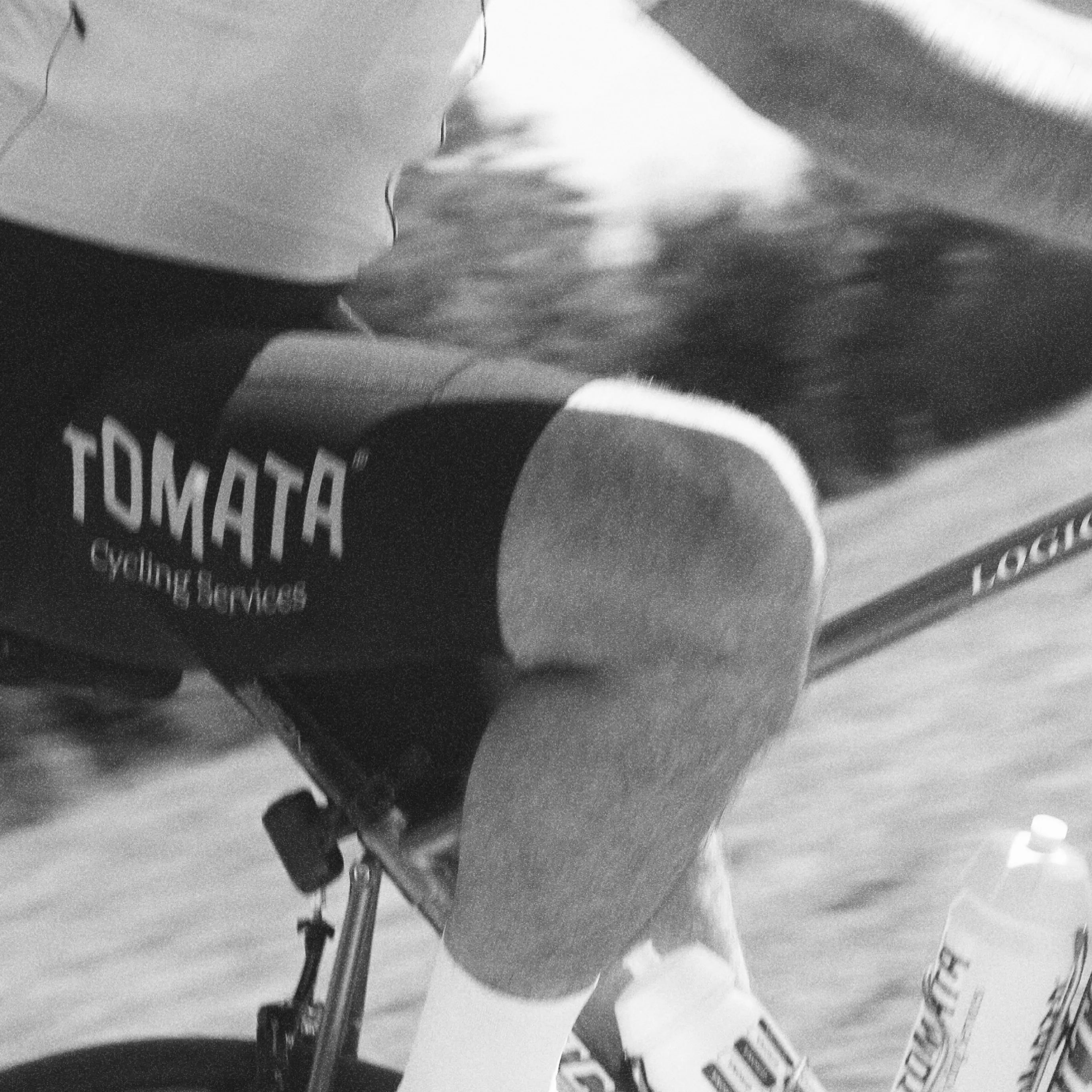 Tomata BIB SHORTS