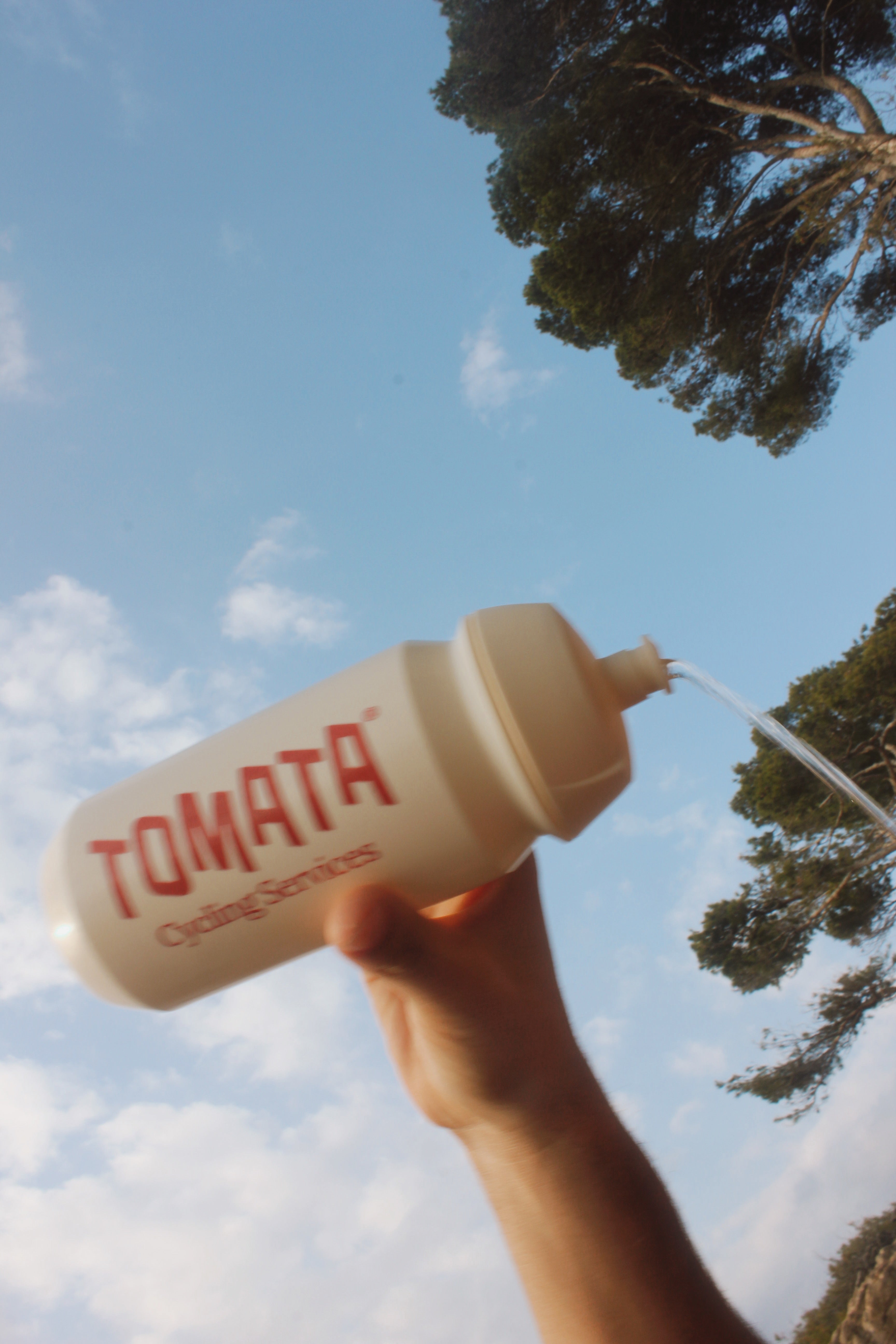 Tomata bidon