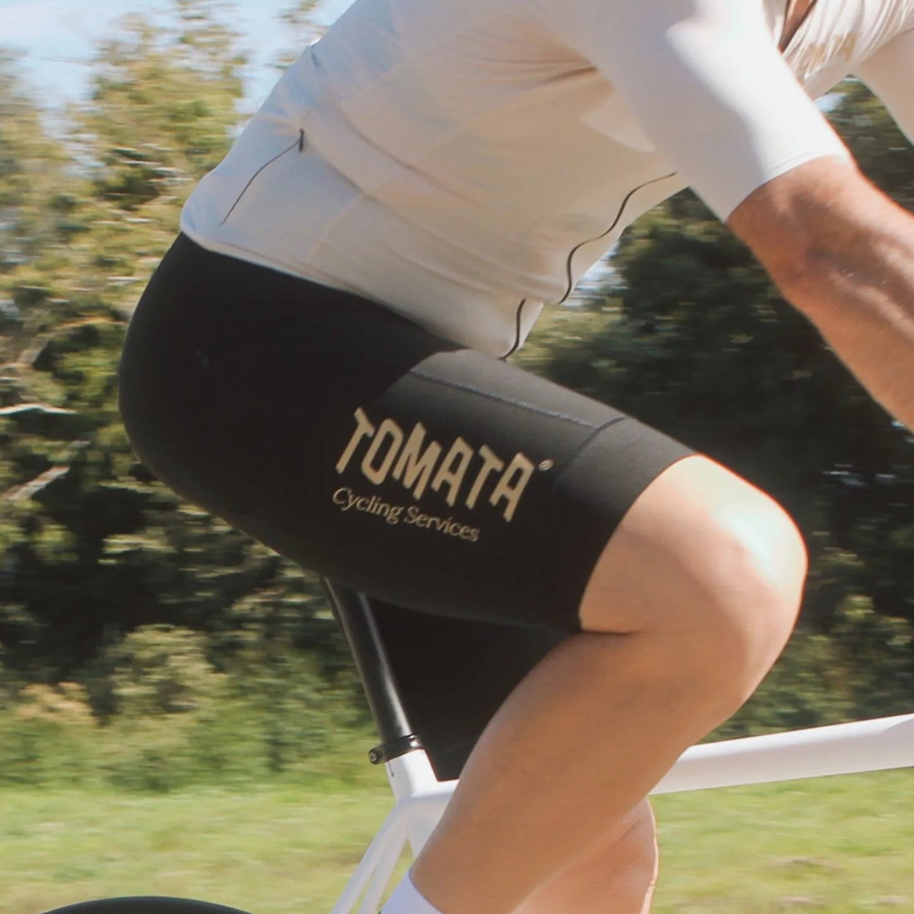 Tomata BIB SHORTS